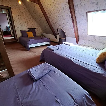 La Queue Du Gasthuis 3*