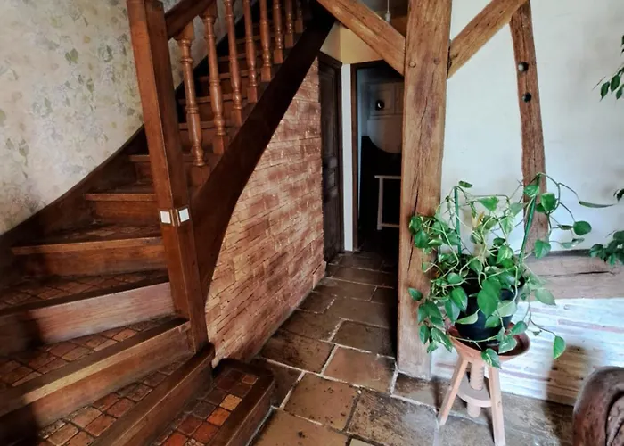 La Queue Du Affittacamere