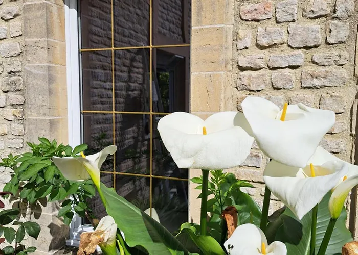 Affittacamere La Queue Du Etreham