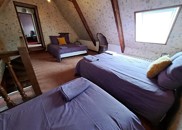 La Queue Du Affittacamere 3*